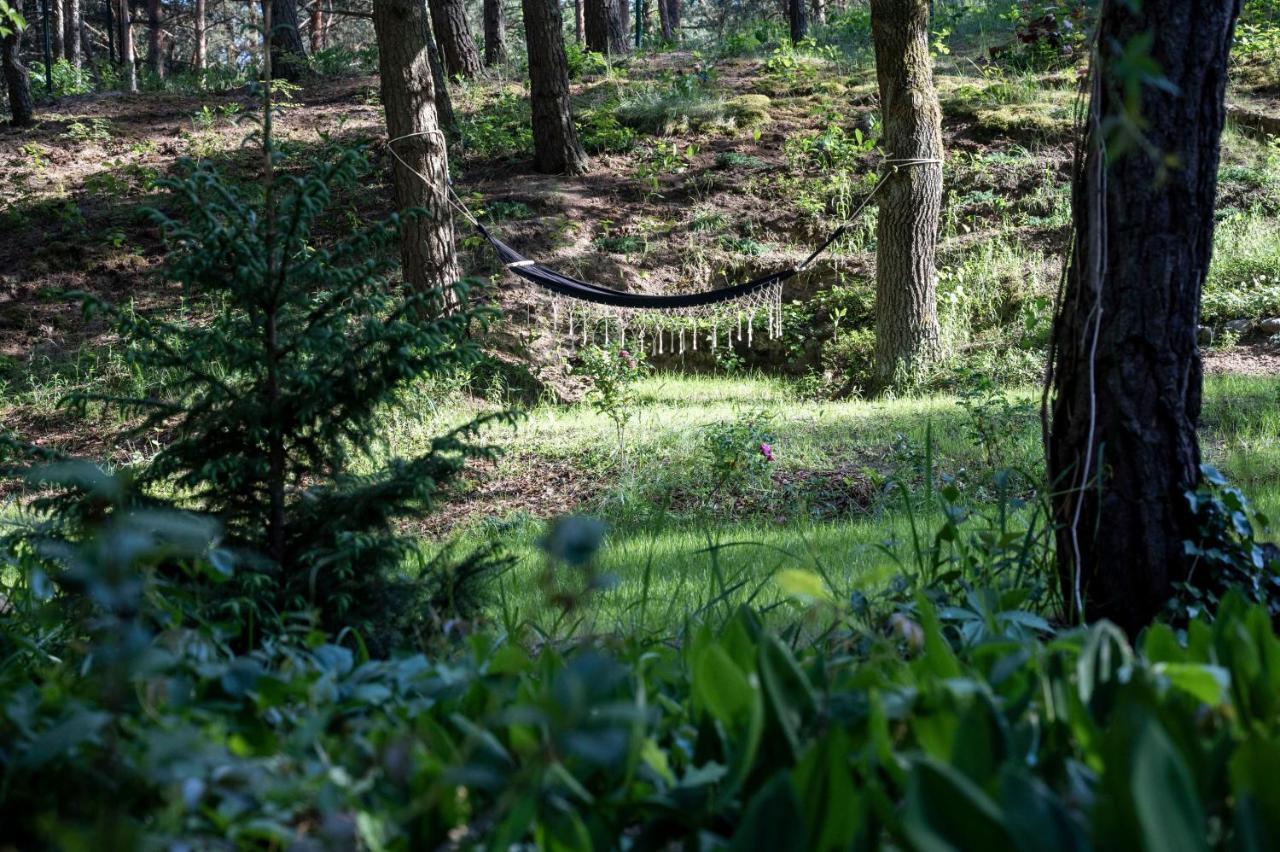 Uroczy Maly Domek Na Lesnej Dzialce - Losiowka Losie Esterno foto