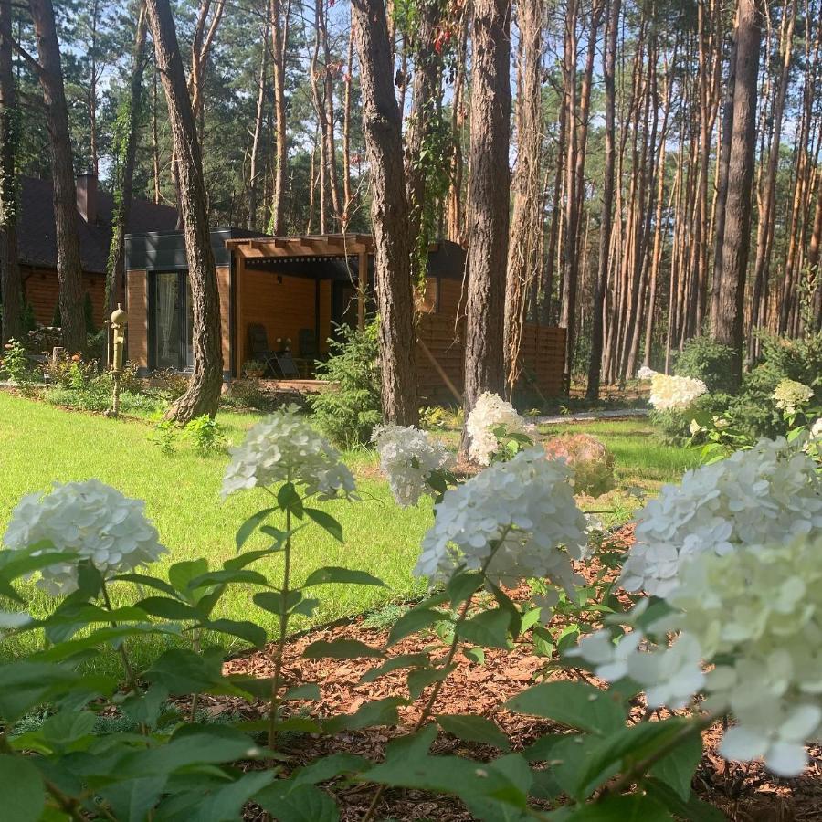 Uroczy Maly Domek Na Lesnej Dzialce - Losiowka Losie Esterno foto